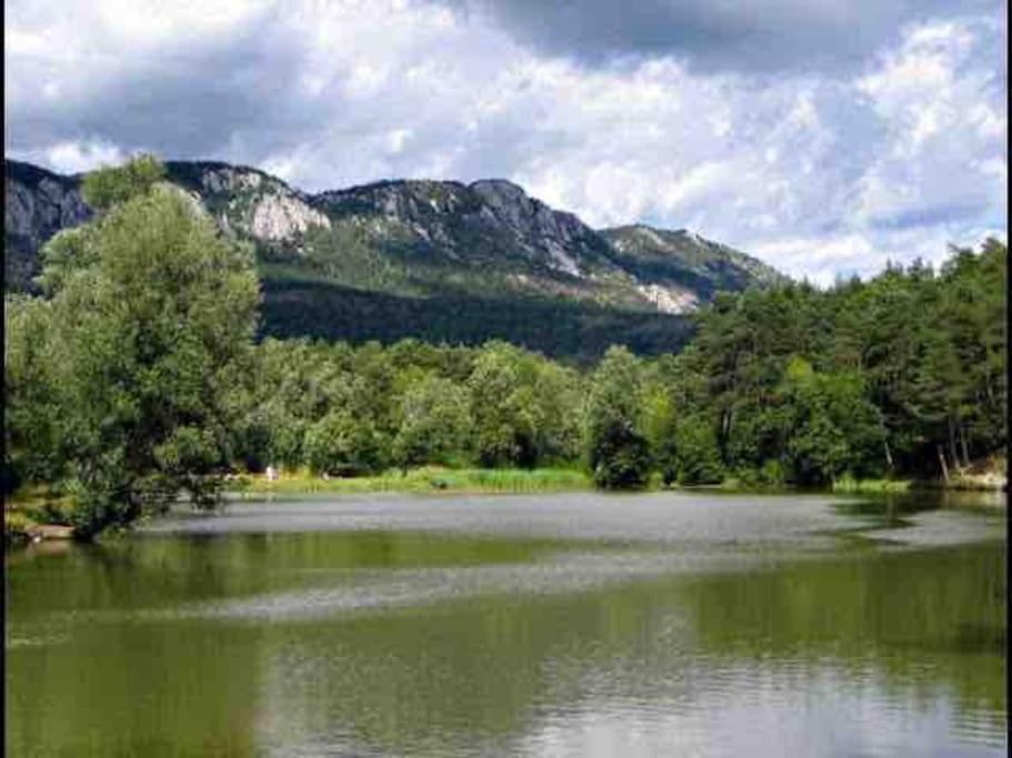Greolieres: Superbe Studio Avec Vue Montagne Exterior photo